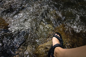 P8309471.jpg