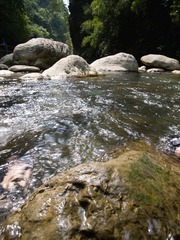 P8309475.jpg