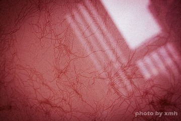 P9220034 副本.jpg