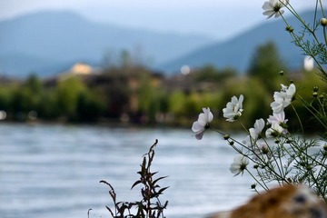 PA040771.jpg