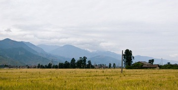 PA030183.jpg