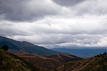 PA030204.jpg