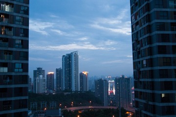 P5303982.jpg
