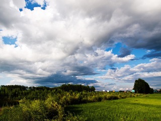 P7135436-1.jpg