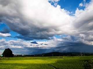 P7135437-1.jpg