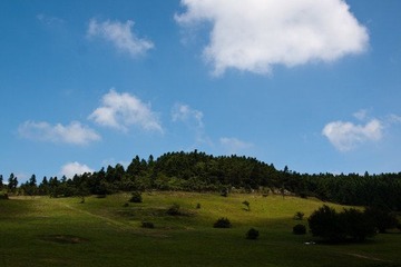 P8185967.jpg