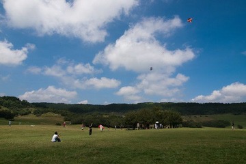P8185924.jpg