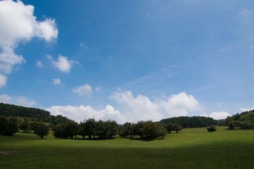 P8185934.jpg
