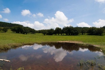 P8185939.jpg