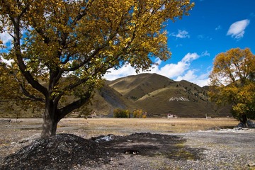 20121005-PA057640.jpg