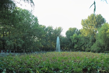 IMG_1940.jpg