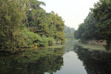 IMG_2014.JPG