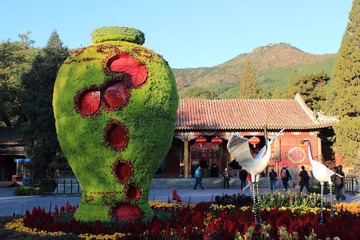 IMG_2112.JPG