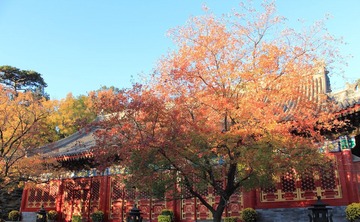IMG_2114.JPG