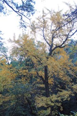 IMG_2120.JPG