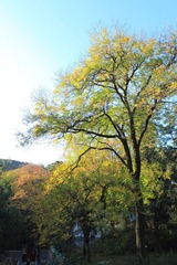 IMG_2122.JPG