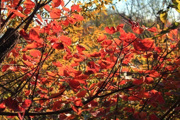 IMG_2141.JPG