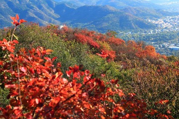 IMG_2143.JPG