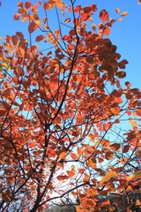 IMG_2144.JPG