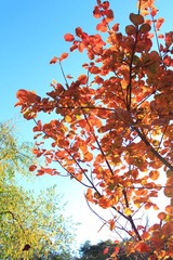 IMG_2150.JPG