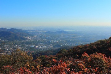 IMG_2152.JPG