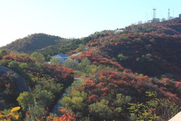 IMG_2153.JPG