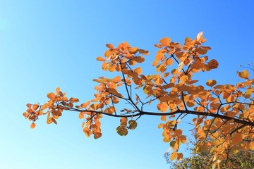IMG_2174.JPG