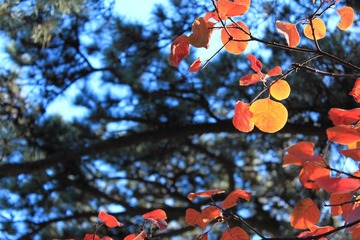 IMG_2179.JPG