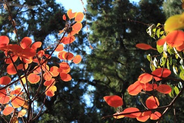 IMG_2184.JPG