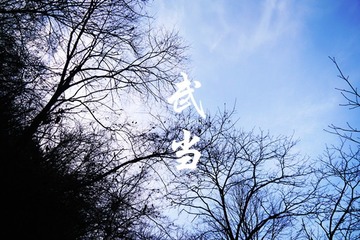 P1170546