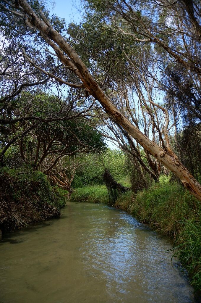 DSC01976_<br />
Eli Creek