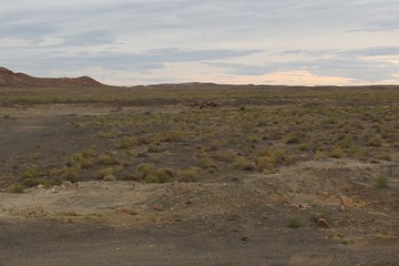 _W7A1787