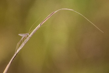 2W7A0946