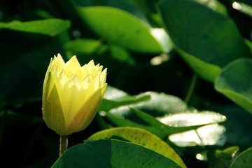 IMG_0585副本.jpg