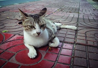 DSC09191.jpg