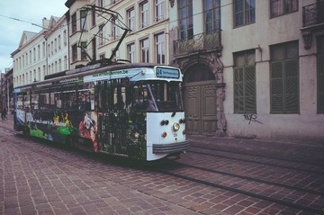 _DSC0303.jpg