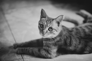 _DSC0116 2
