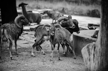_DSC0066