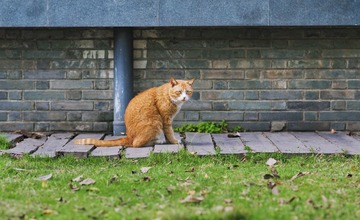 _DSC0057 2