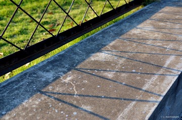 DSC_0091.jpg