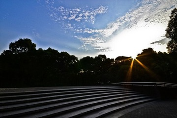 DSC_0222.jpg