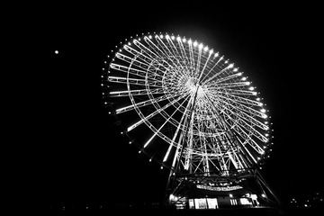 DSC_0381.jpg