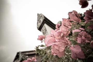 DSC_0211.jpg