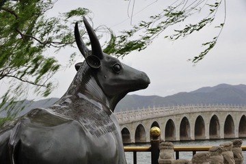 _DSC9993.JPG