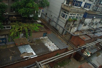 IMGP9997_conew1.JPG