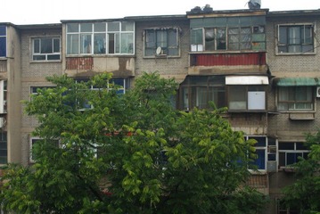 IMGP9962_conew1.JPG