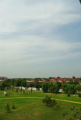 conew_IMGP0037.jpg