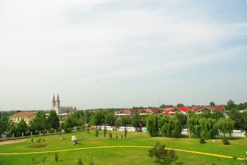 conew_imgp0038.jpg