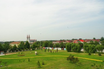 conew_imgp0039.jpg