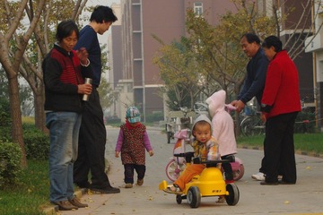 IMGP1005_conew1.JPG